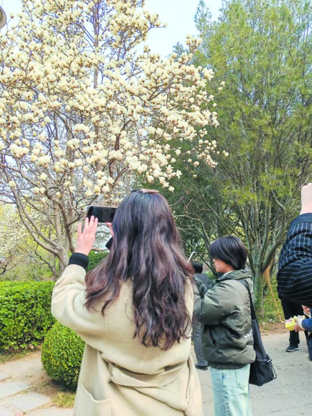 游客拿出手机、相机拍照打卡